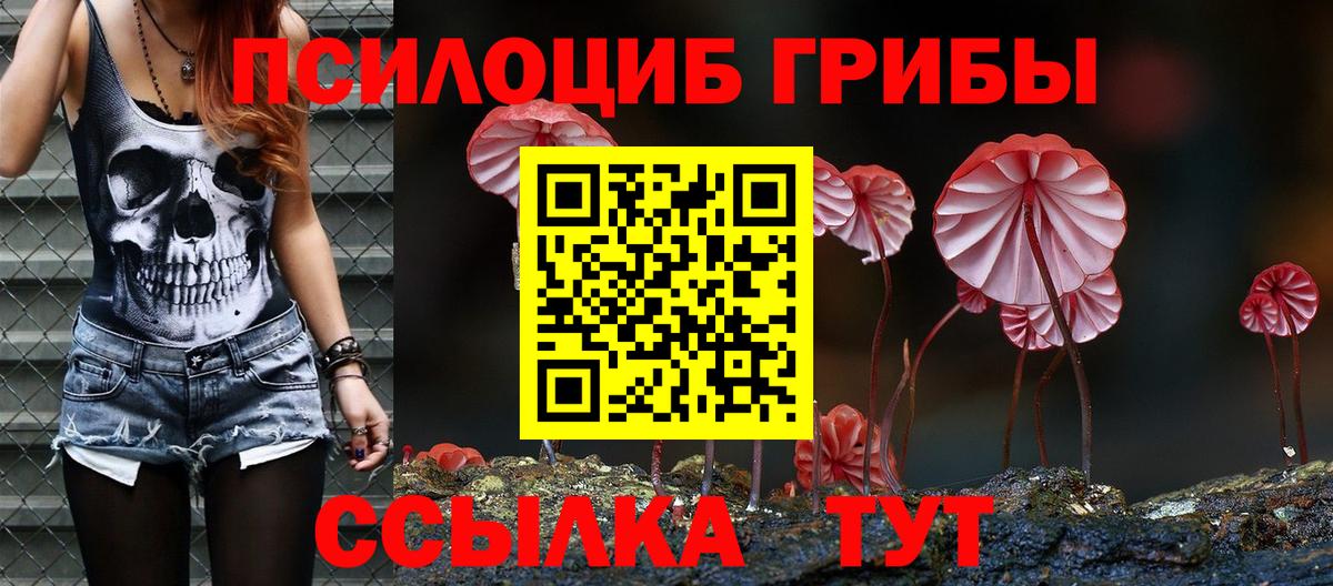 Галлюциногенные грибы Magic Shrooms  купить  цена  Каспийск  Вход с VPN  Псилоцибиновые грибы Psilocybine cubensis 